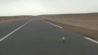 تحذير.. زحف الرمال على الطريق الرابطة بين العيون والسمارة