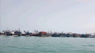 توقف مراكب صيد السردين بميناء بوجدور بسبب ندرة المصطادات.