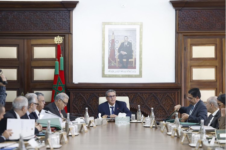 هذا أهم ما جاء في اجتماع مجلس الحكومة ليوم الخميس 09 يناير 2025…