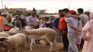 تعليق كافة مظاهر عيد الأضحى بالمغرب بناءً على توجيهات ملكية بسبب تداعيات الجفاف