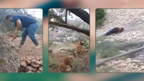 جريمة بشعة تهز إقليم صفرو.. فلاح يلقى حتفه في هجوم وحشي وزوجته تلتقط المشهد بكاميرا هاتفها