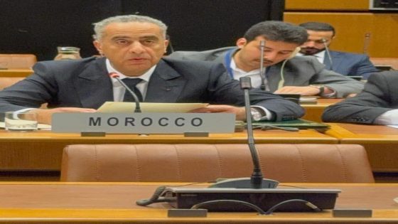حموشي يقود وفداً أمنياً مغربياً في اجتماع فيينا لمكافحة الإرهاب والتعاون الأمني