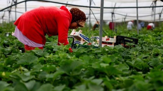 إطلاق برنامج “وفيرة” لفائدة العاملات “الموسميات” بشراكة بين المغرب وإسبانيا…
