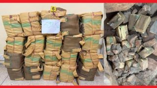 بالتنسيق مع الدرك.. شرطة طاطا تحبط تهريب 598 كلغ من الشيرا