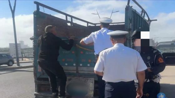 الدار البيضاء.. توقيف شاحنة يكشف عن واقعة غير مألوفة داخل الصندوق الخلفي