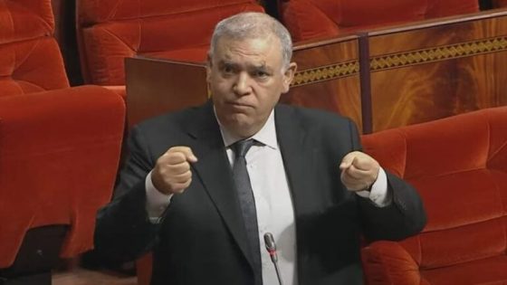 وزير الداخلية: نزاهة الانتخابات بالمغرب مكفولة دستورياً وترسانة قانونية تحمي إرادة