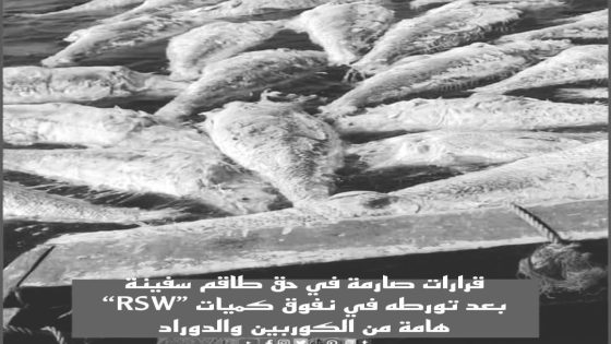 ⭕ الداخلة.. إدارة الصيد تتخذ قرارات صارمة في حق طاقم سفينة “RSW” بعد تورطه في نفوق كميات هامة من الكوربين والدوراد
