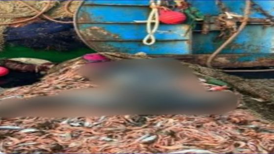 العثور على جثة مقطوعة الرأس داخل شبكة صيد بالمضيق