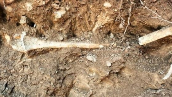 العثور على عظام بشرية داخل حديقة فندق مصنّف يُثير استنفارًا أمنياً بمراكش