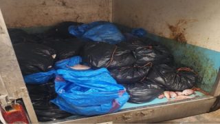 الأمن الوطني يُحبط محاولة تهريب كمية كبيرة من الأسماك بميناء الداخلة