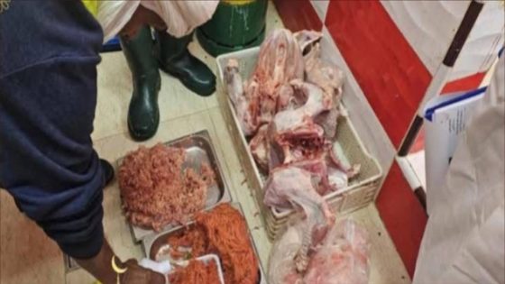 العرائش.. ضبط دجاج نافق موجّه للأعراس خلال حملة تفتيش مفاجئة