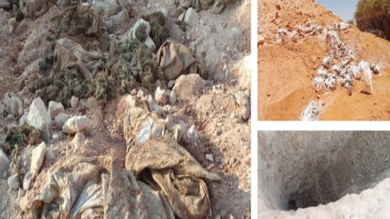 فضيحة “الدجاج النافق” بتيزنيت.. الداخلية تؤكد الخطر الصحي والبيئي