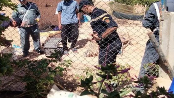 مصرع 5 أشخاص اختناقاً داخل حفرة للصرف الصحي بإقليم شيشاوة