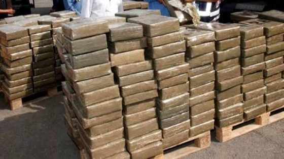 🔴 كلميم.. الدرك الملكي يحبط عملية تهريب دولية ويحجز طنين من الشيرا