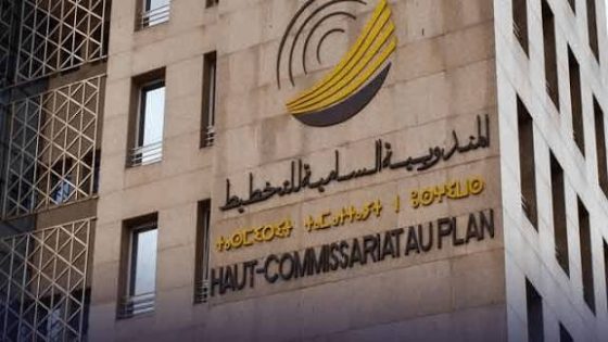 المندوبية السامية للتخطيط: الادخار الوطني يبلغ 29,3% من الناتج الداخلي الإجمالي في الفصل الثاني من 2025