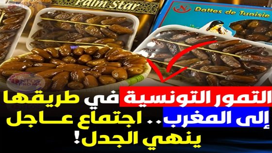 تحت ضغط الفلاحين.. تونس تتراجع عن استثناء المغرب من قائمة مصدّري التمور