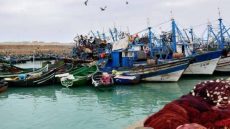 توقف مراكب صيد السردين بميناء بوجدور بسبب ندرة المصطادات