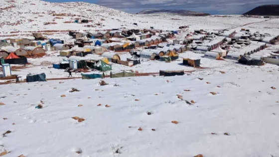 الحوز يرفع درجة التأهب لمواجهة التقلبات الجوية وموجة البرد.