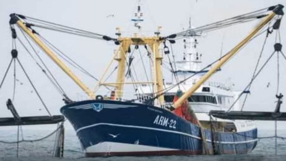 نواذيبو: انطلاق موسم الصيد الصناعي بعد توقف بيولوجي دام شهرين ونصف