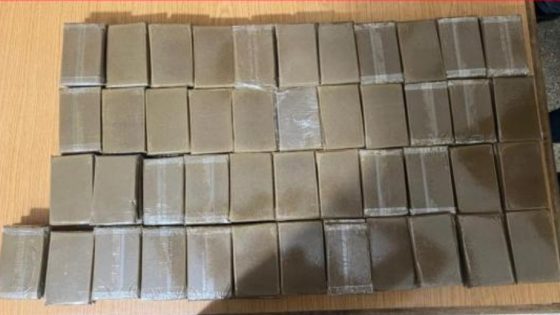 إجهاض محاولة تهريب أكثر من 8 أطنان من مخدر الشيرا بميناء طنجة المتوسط