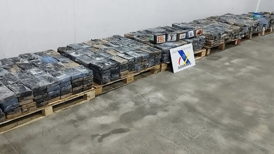 أكثر من طنين من الكوكايين تُضبط داخل حاوية فاكهة قادمة من كوستاريكا