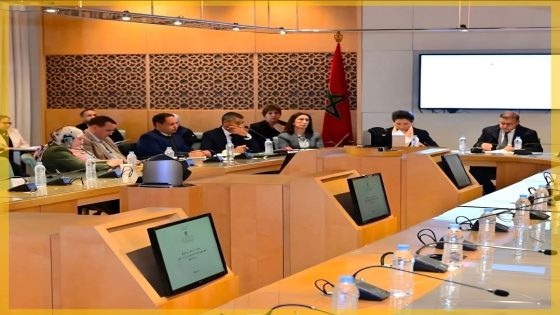 مشروع تحويل مكتب الهيدروكاربورات والمعادن يثير نقاشًا حول دور الدولة في تدبير الثروات الطبيعية.