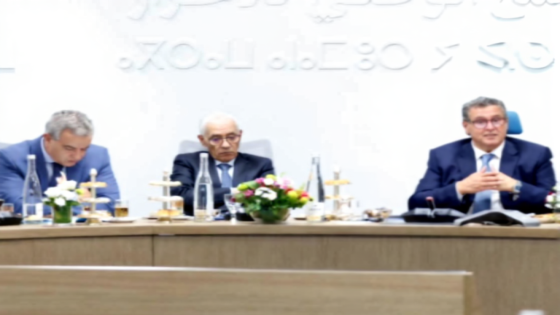 خلافة أخنوش تدخل مراحلها الأخيرة داخل حزب التجمع الوطني للأحرار.