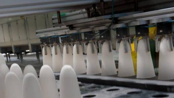 دخول قرار تسقيف أسعار السكر و“السنيدة” حيز التنفيذ