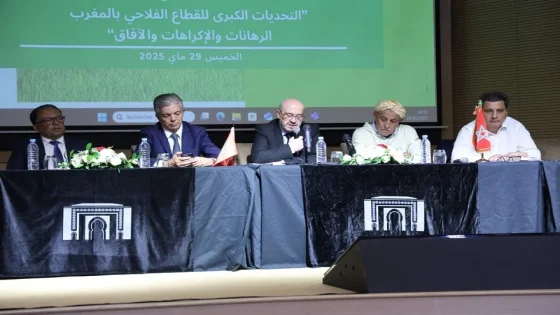 منتجو اللحوم ينفون مسؤوليتهم عن الغلاء: الأسعار ترتفع بعد مغادرة الضيعات.