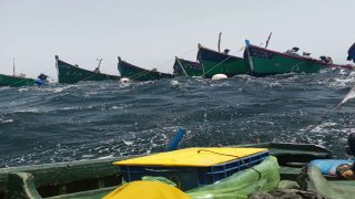 ترقب في أوساط مهنيي الصيد البحري قبيل الحسم في موعد انطلاق موسم الأخطبوط.