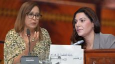 التامني تنتقد تصريحات المنصوري بشأن تملك الشباب للسكن وتثير الجدل حول أرقام المستفيدين.