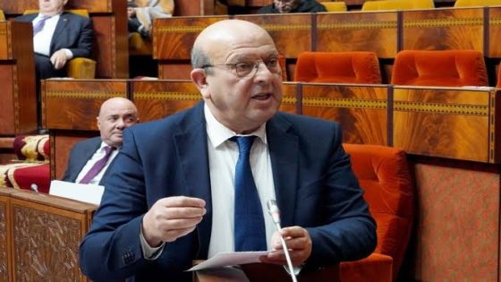 الرشيدي يكشف إحالة جمعيات تُعنى بذوي الإعاقة على القضاء ويُوضح أسباب تأخر إخراج بطاقة الإعاقة.