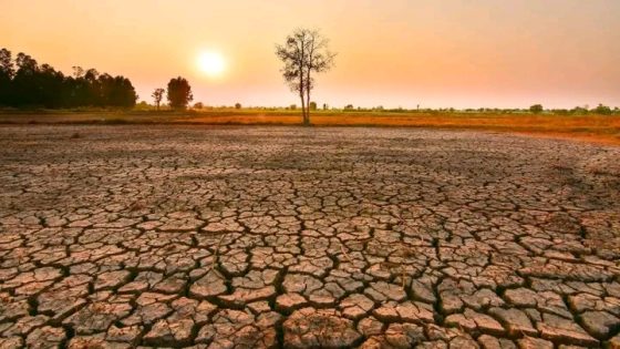 المنظمة العالمية للأرصاد الجوية تحذر من اشتداد ظاهرة “إل نينيو” وتداعيات مناخية مرتقبة.