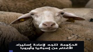 Oplus_131072
