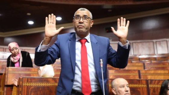 بوانو يحذر من تراجع الثقة في انتخابات 2026 ويدعو إلى تجديد النخب البرلمان.ذ